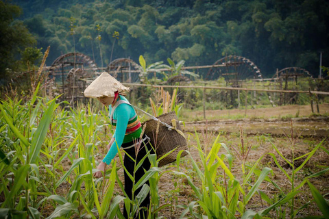 Hanoi: 3-Day Pu Luong, Ninh Binh Excursion & Guide, Homestay