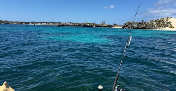 Perth: Coastal Cruise with Light Lunch and Dolphin Spotting