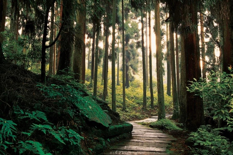 Sichuan: Tiantai Mountain Scenic Area Entry Ticket Tiantai Mountain Scenic Area Entry Ticket