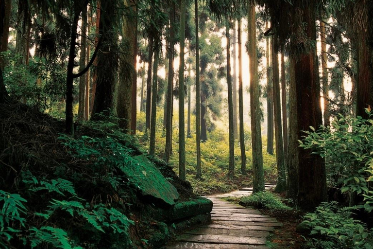 Sichuan: Tiantai Mountain Scenic Area Entry Ticket Tiantai Mountain Scenic Area Entry Ticket