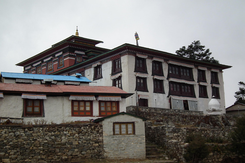 Kathmandu: Swayambhunath, Kirtipur & Patan Tour