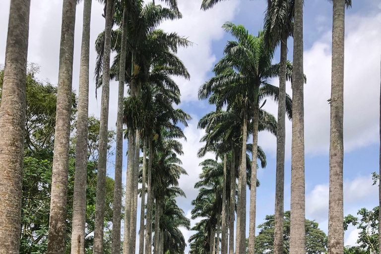 Excursión de un día a los Jardines Botánicos de Aburi, la Granja de Cacao y las Cataratas de BotiExcursión de un día a los Jardines Botánicos de Aburi y las cascadas de Boti