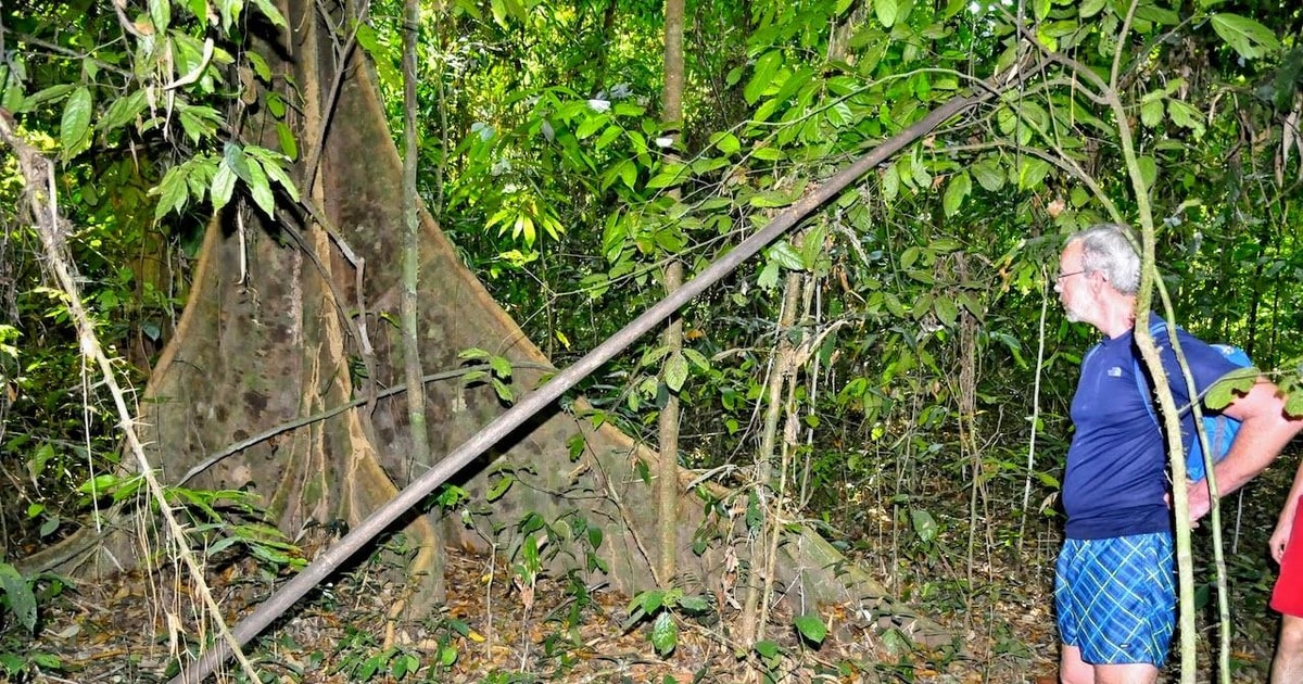 From Krabi: 1-Day Khao Sok & 2-Day Cheow Lan Lake Safari | GetYourGuide