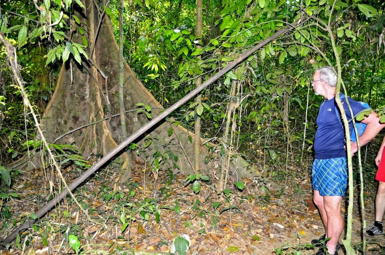 Von Krabi aus: 1-tägige Khao Sok & 2-tägige Cheow Lan Lake Safari