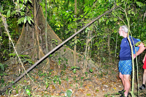 Från Krabi: Kryssning vid sjön Cheow Lan och djungelvandring i Khao Sok