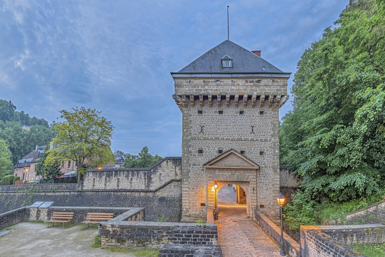 Au départ de Paris : Excursion d&#039;une journée dans la ville de Luxembourg avec guide privé