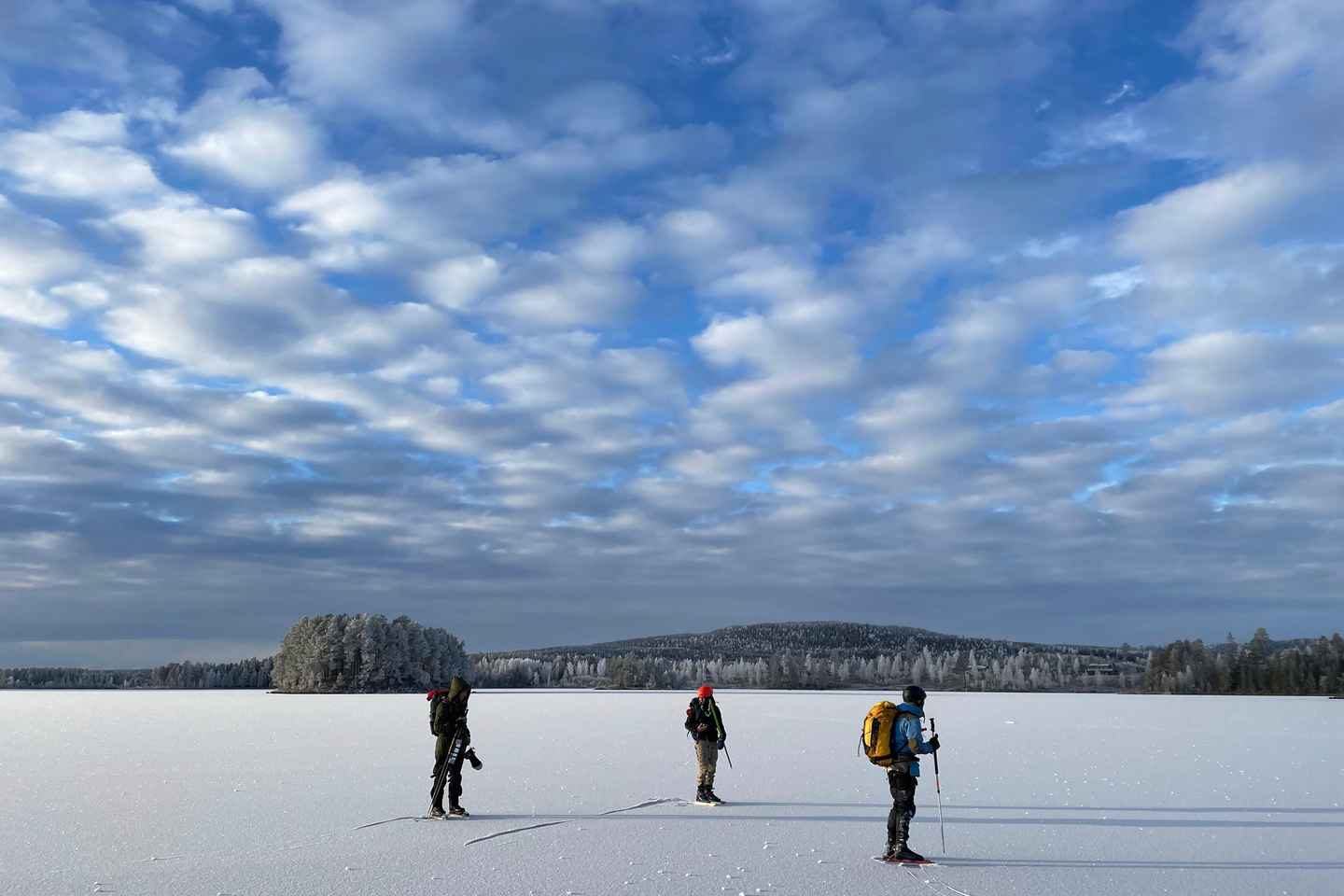 Sälen: Ice Skating Tour with Lunch and Hotel Pickup