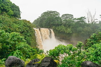 Mauna Kea, Stellar Explorer Tour de Hilo - Housity