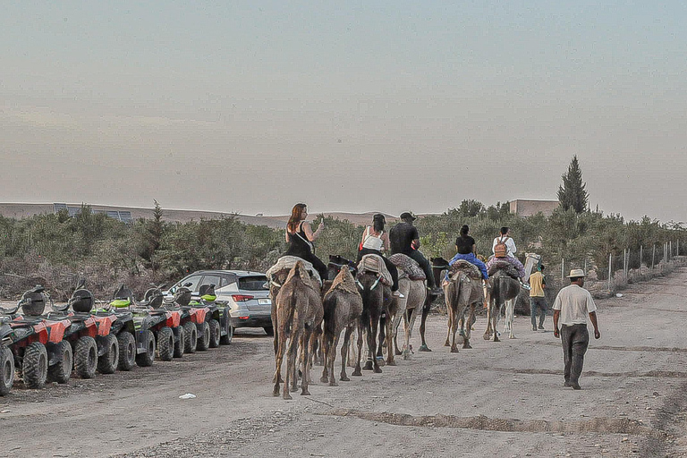 Marrakech: Agafay Wüsten-Quad &amp; Kamelritt mit Dinner-Show