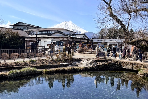 Tokyo: Private Daytrip to Mount Fuji - Fully Customizable Mt Fuji Private Luxury Van Tour (Customizable Experience)