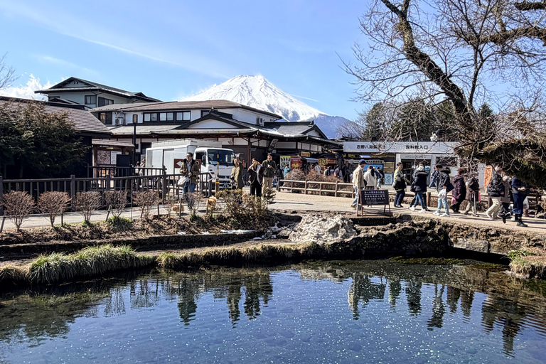 Tokyo: Private Daytrip to Mount Fuji - Fully Customizable Mt Fuji Private Luxury Van Tour (Customizable Experience)