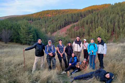 From Sofia: Wildlife Tracking & Search Science Expedition