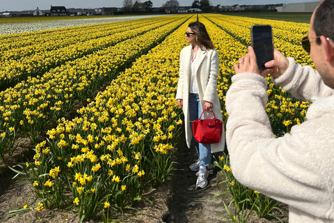 Lisse: Private Tulip Fields Tour with a Local Guide 1h Tour