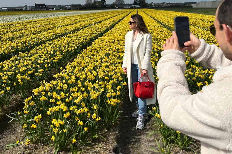 Lisse: Private Tulip Fields Tour with a Local Guide 1h Tour