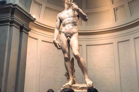 Uffizi Gallery & Accademia Gallery Priority Entry Tickets Uffizi Gallery Only: Priority Entry with Audio Guide