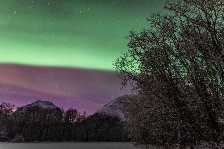 Tromsø: Tour dell&#039;aurora boreale con foto e trasferimento in hotel