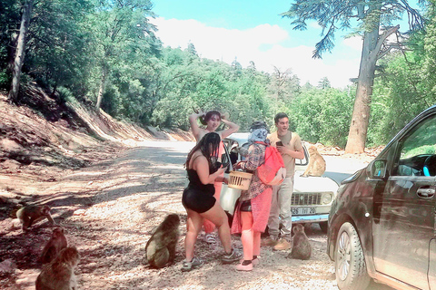 خدمة نقل خاصة من وإلى المطار: مطار مراكش ⇆ فنادق/رياضخدمة النقل من المطار وإلي المطار في مراكش ⇆ ال