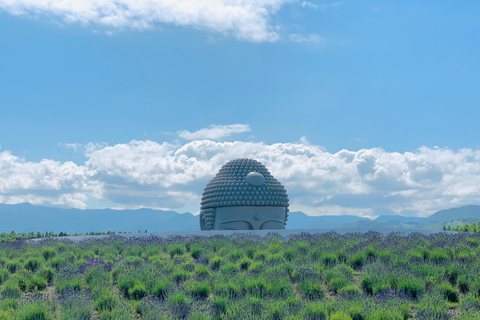 Sapporo: Hoheikyo Gorge, Hill of the Buddha & Buffet Tour