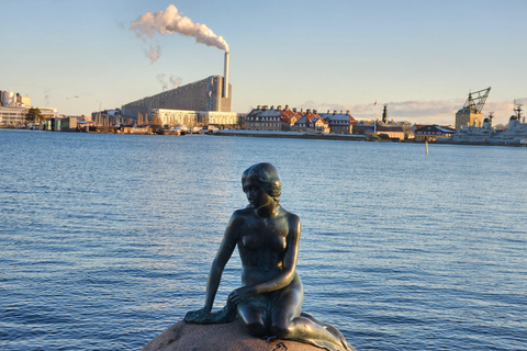 Köpenhamn: Rundvandring, hamnfärja och kungliga vakter