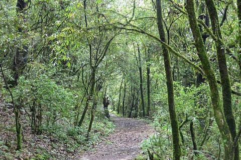 Un&#039;escursione di un giorno da Kathmandu: La collina di Phulchowki