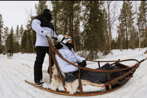 Levi: 5 Km Husky Sledding Ride in Levi