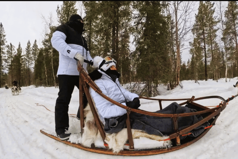 Levi: 5 Km Husky Sledding Ride in Levi