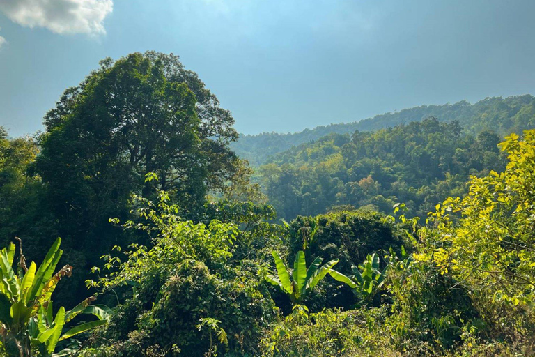 Chiang Mai ATV & White Water Rafting & Trekking to Waterfall