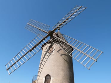 Galerie média