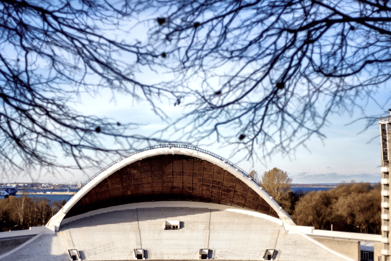 Tallinn: rondleiding langs de hoogtepunten voor cruisepassagiers