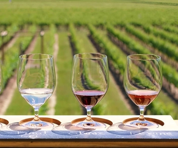 Toronto: Niagara-on-the-Lake, Wine Country & Chocolate Tour