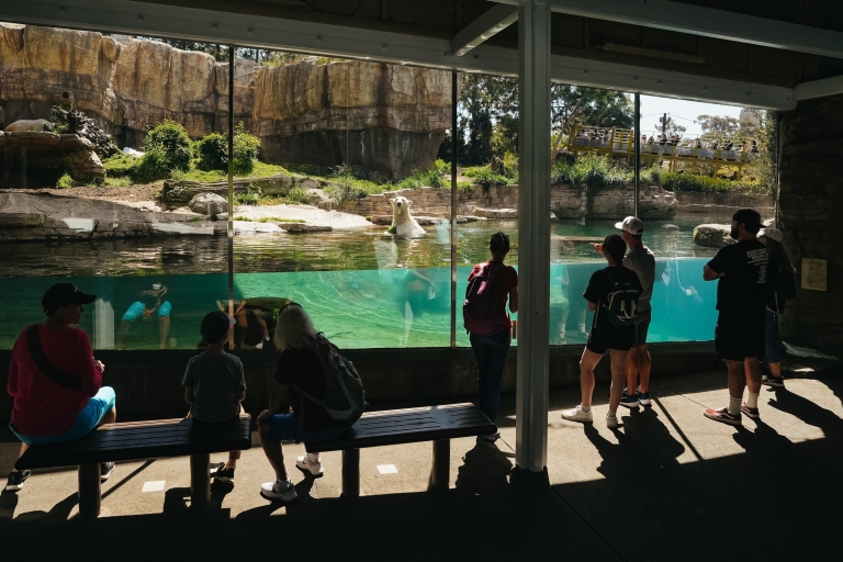 San Diego Zoo: 1-Tagesticket