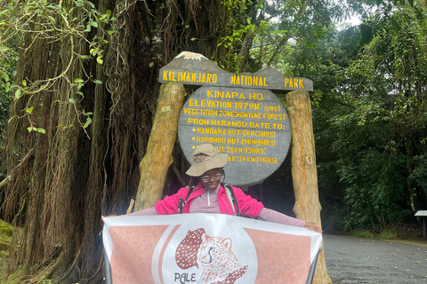 Tanzania Group Safaris Through Tanzania’s Top National Parks Arusha : 3 Days Serengeti and ngorongoro ngroup Safari