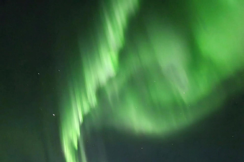 Reykjavik: Small-Group Northern Lights Tour with Pickup
