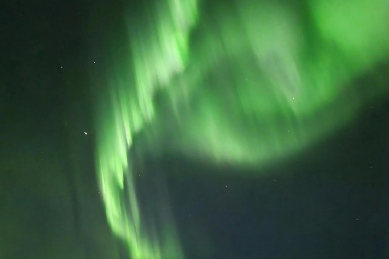 Reykjavik: Small-Group Northern Lights Tour with Pickup
