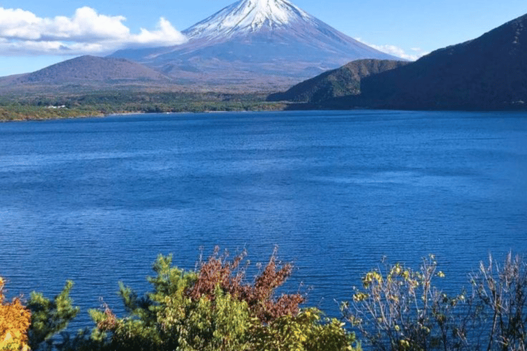From Tokyo: Mount Fuji Full Day Customizable Private Tour