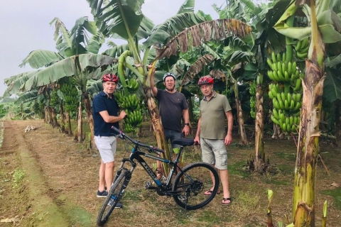 Fiets- en motortocht langs verborgen juweeltjes en Bananeneiland