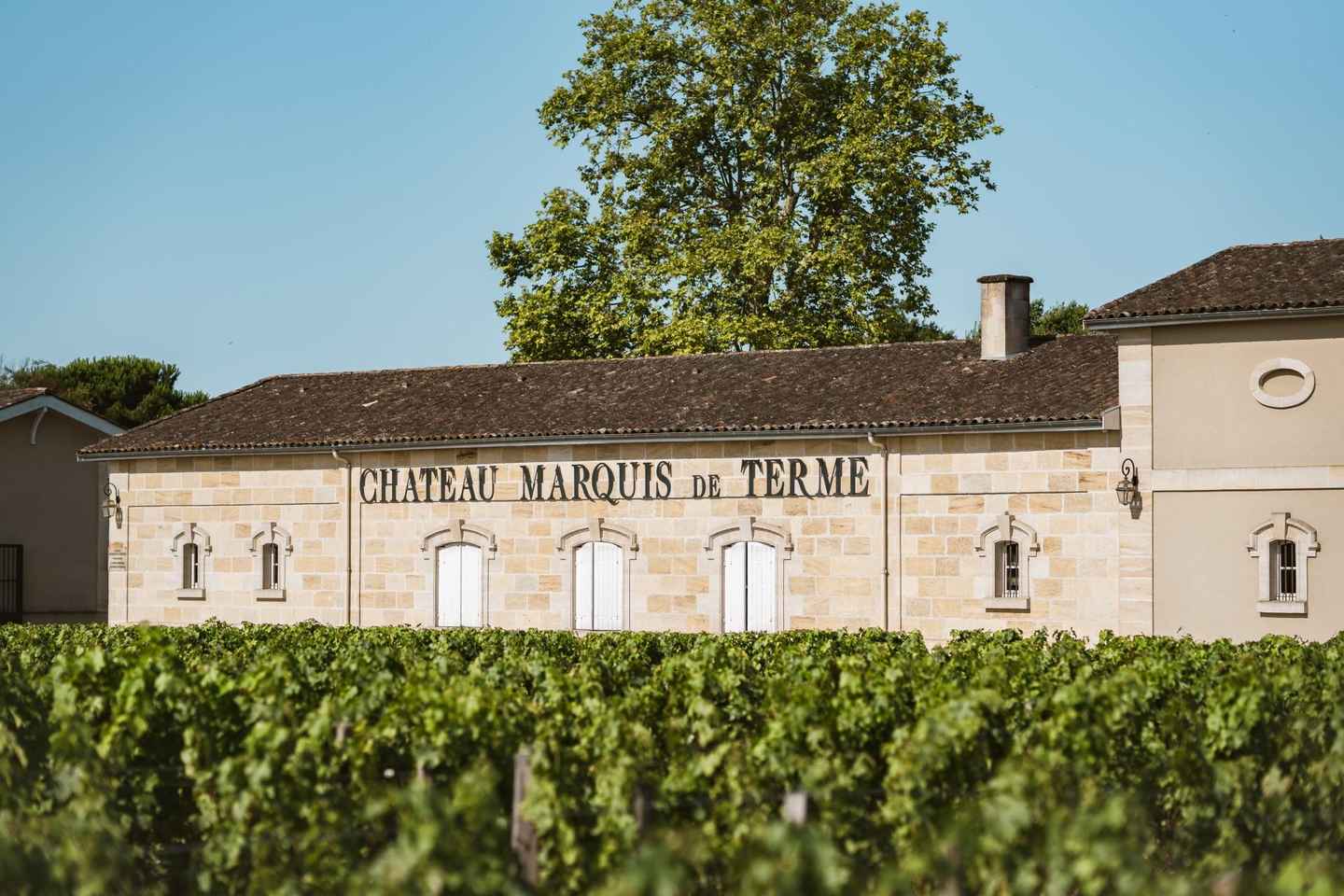 Sensory Tour of Bordeaux and Tasting in a Bordeaux vineyard