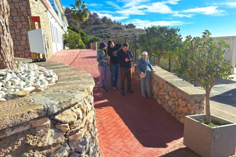 Ab Málaga: Tagesausflug nach Nerja und prähistorische Höhlentour