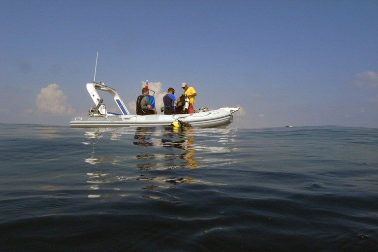 Djerba: Beginner Scuba Diving Introduction with Hotel Transfers Djerba: Beginner Dive Baptism with Hotel Transfers