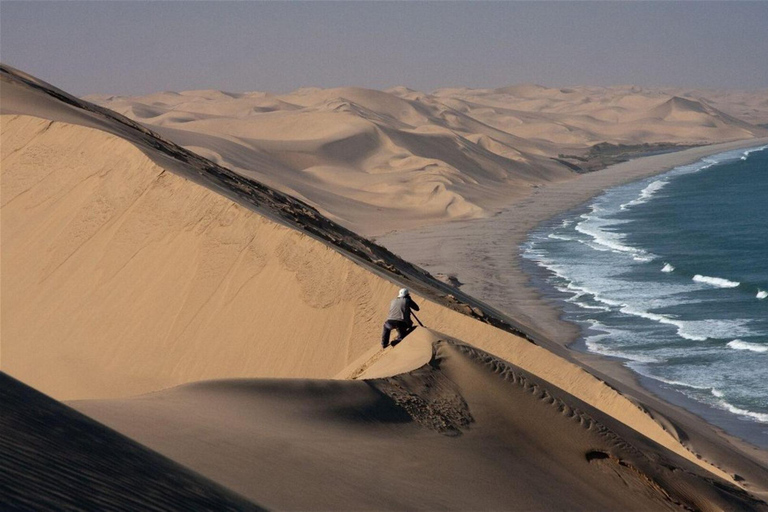 Walvis Bay: Sandwich Harbour Half-Day 4x4 Tour