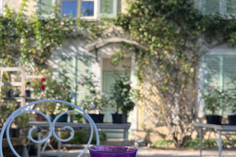 From Paris: Provins Medieval Town Day Trip