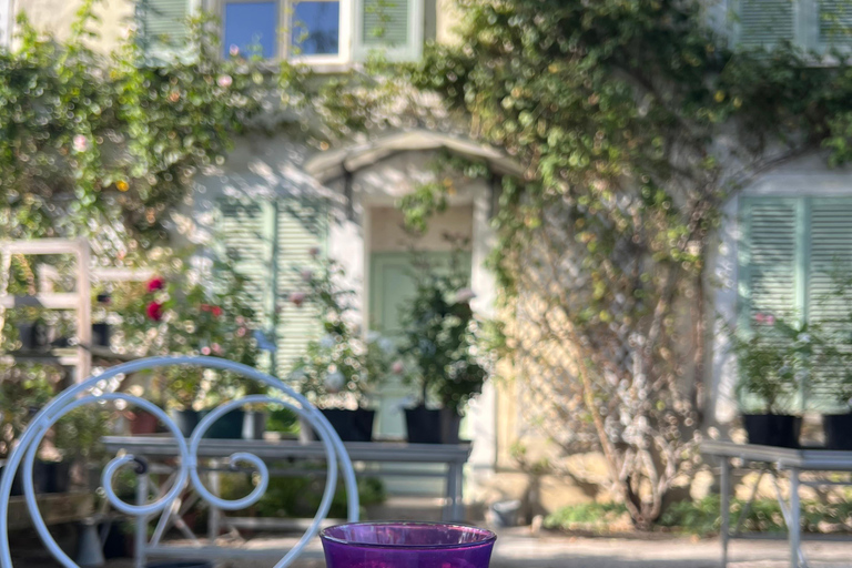 From Paris: Provins Medieval Town Day Trip