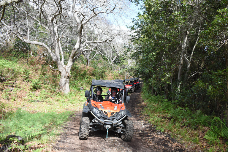 La Palma: Buggy Adventure along the Volcanic Coast (3h)