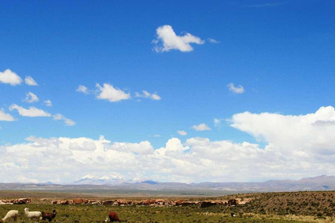 SAN PEDRO DE ATACAMA- UYUNI- SAN PEDRO DE ATACAMA