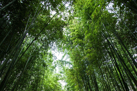 From Busan: 5 Highlights Pohang & Ulsan One Day City Tour Group tour: From Haeundae Station Ex.5