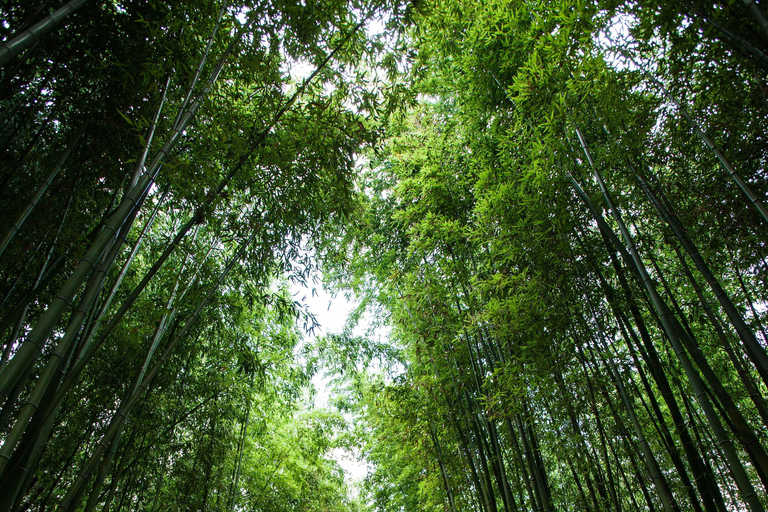 From Busan: 5 Highlights Pohang & Ulsan One Day City Tour Group tour: From Haeundae Station Ex.5