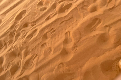 Riyadh:Red Sand Dunes camel ride&Quad&Sandboarding Adventure Private Tour with pick up and drop off from your location