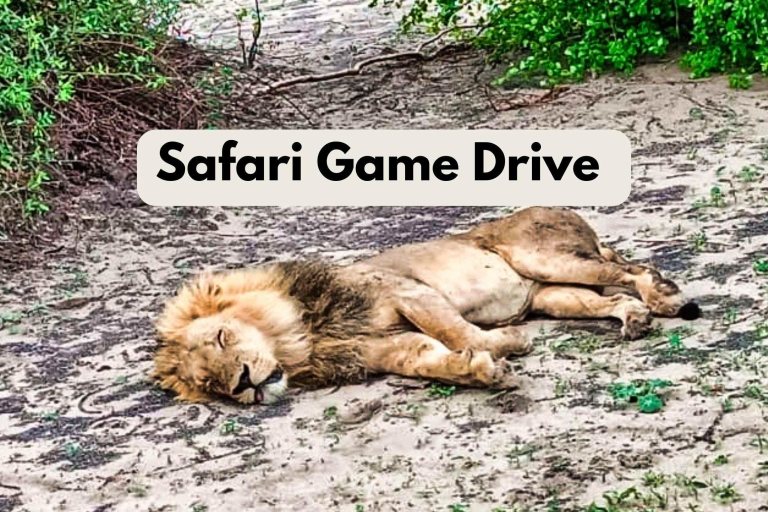 Victoria Falls: Safari PirschfahrtPrivate Tour