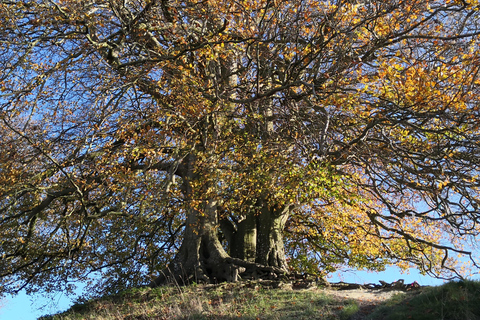 Wiltshire Excursión guiada en coche Mística y DragonesPor persona Coche