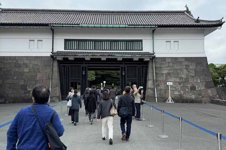 Tokyo Private Luxury City Tour with Professional Guide